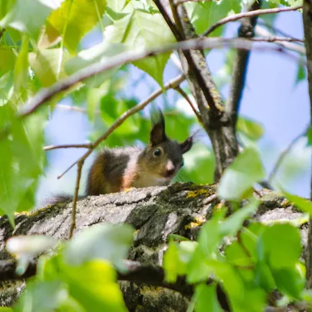Camping Sziksosfuerdo Es Szeged